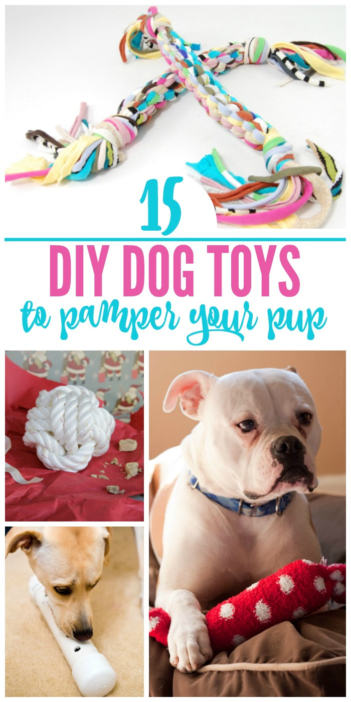 DIY For Dog
 15 Pawesome DIY Dog Toys for Your Pup