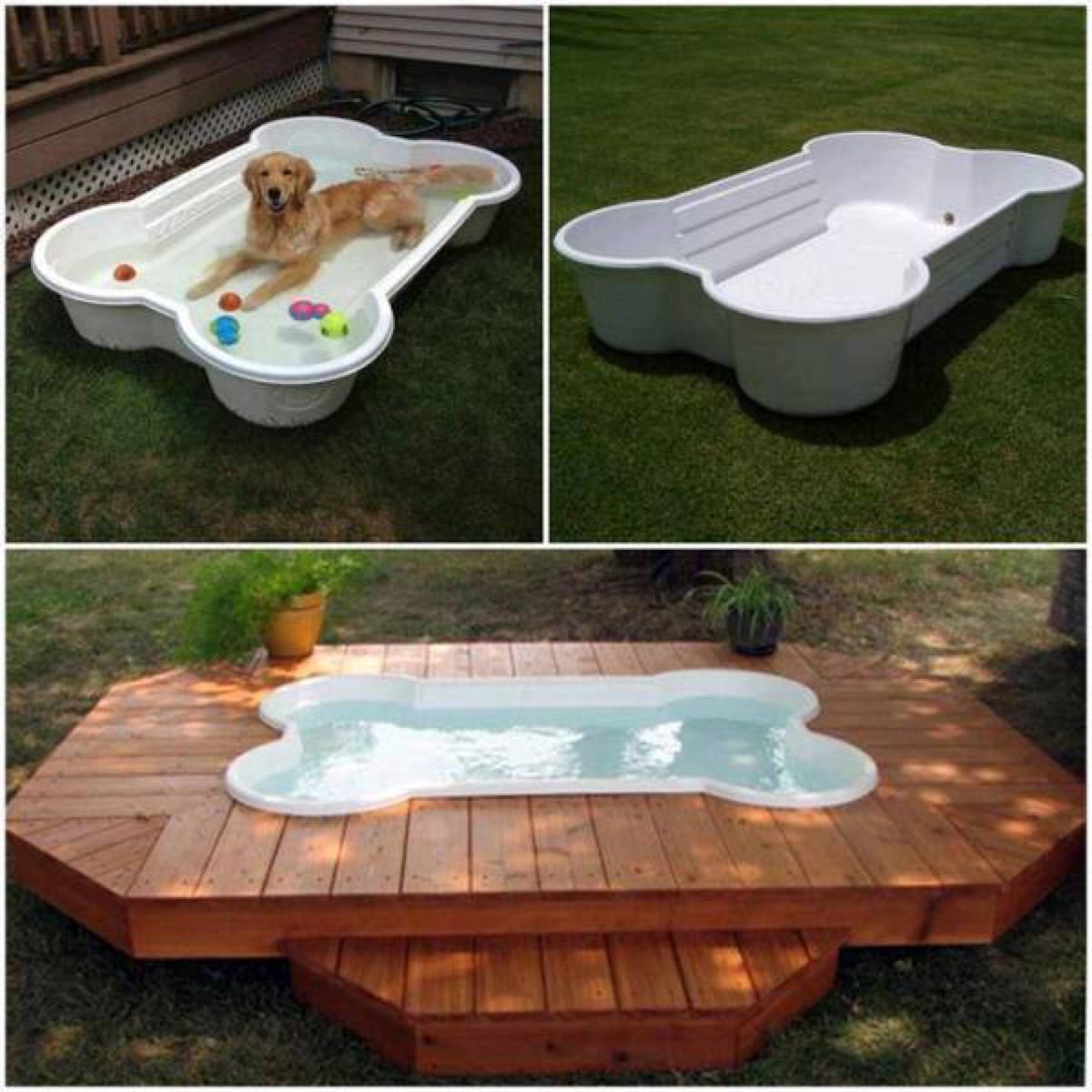 DIY For Dogs
 Build a DIY Dog Pool to Keep Your Pup Cool