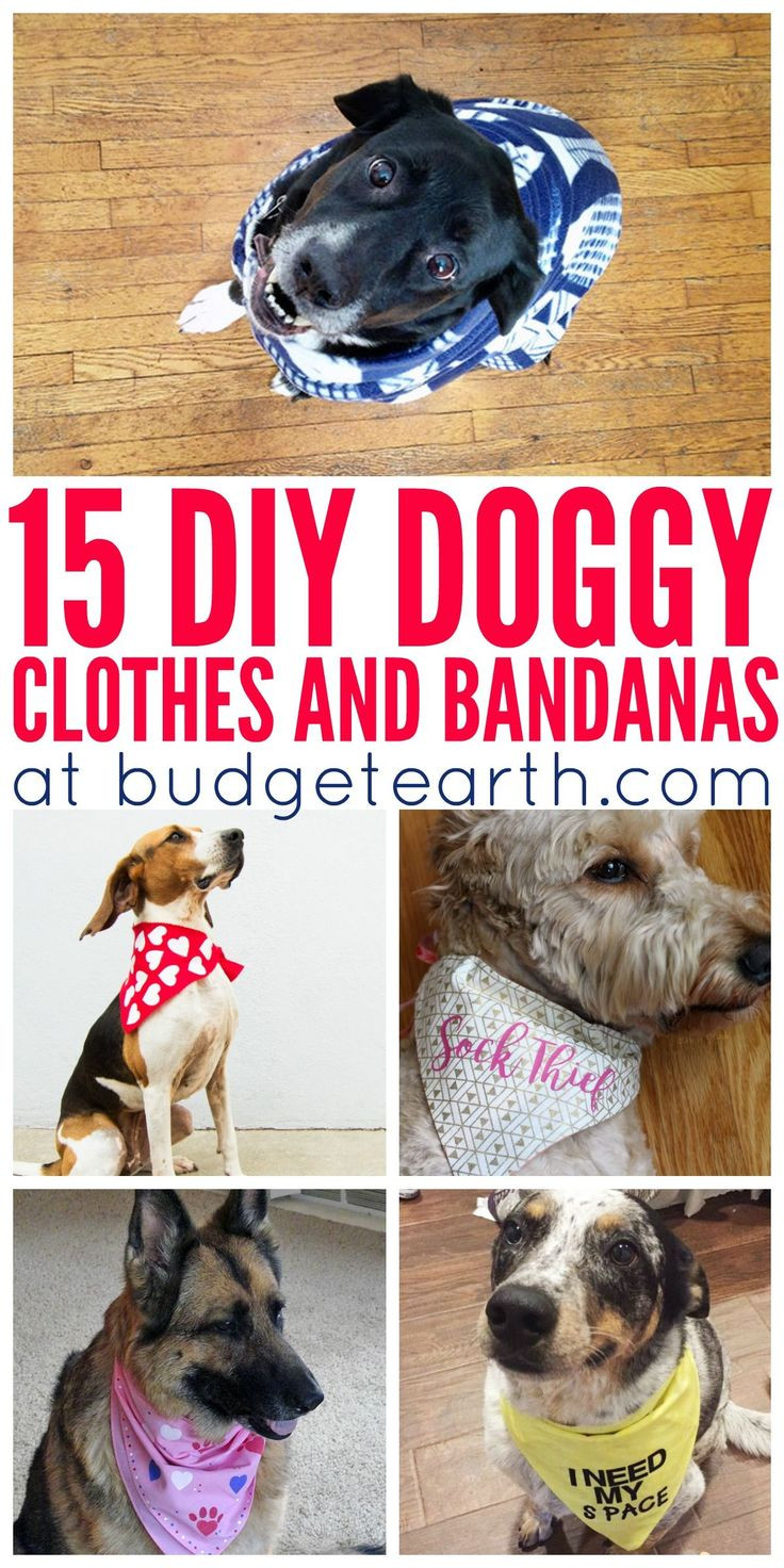DIY For Dogs
 Best 25 Dog clothes patterns ideas on Pinterest