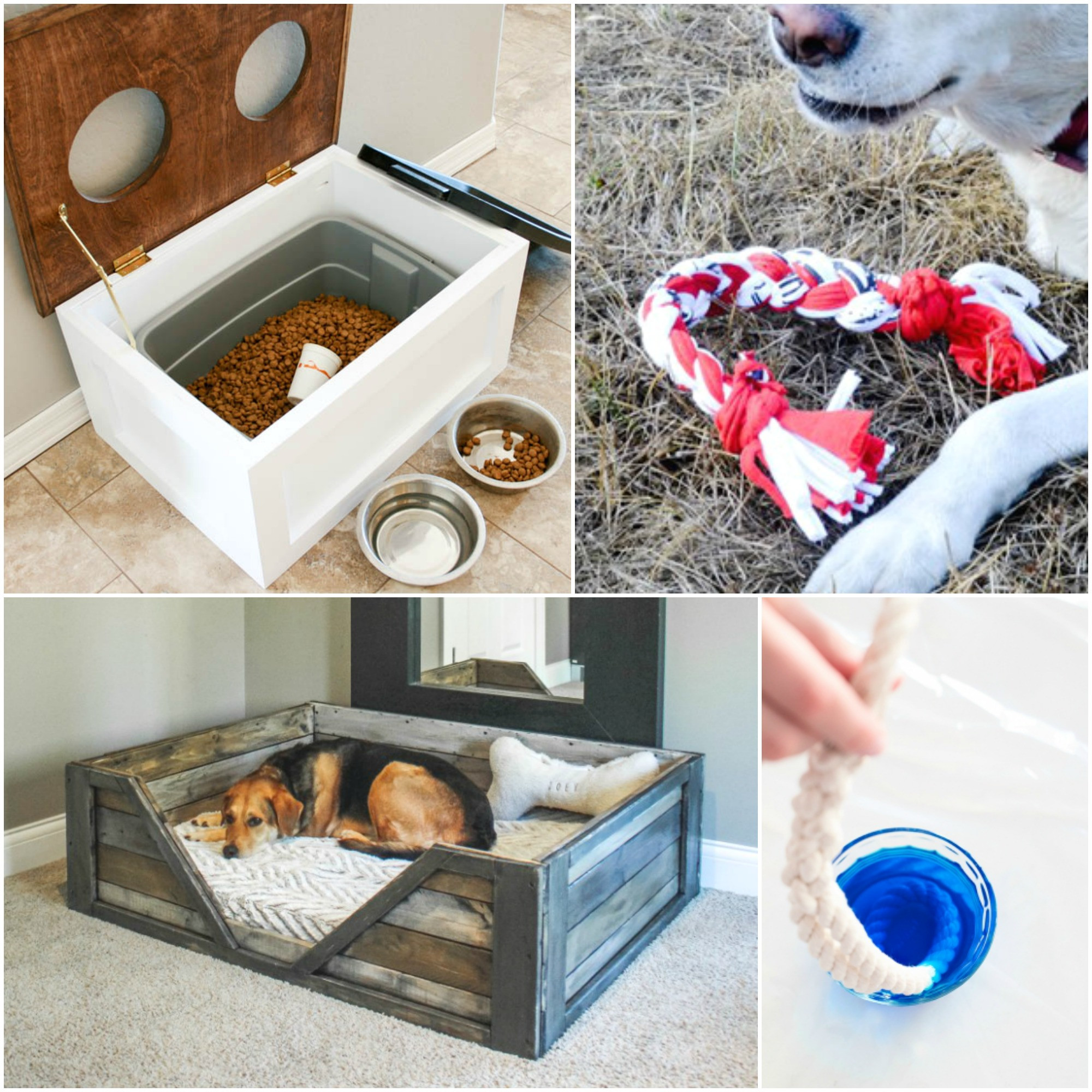 DIY For Dogs
 10 DIY Projects for Dog Lovers The Realistic Mama