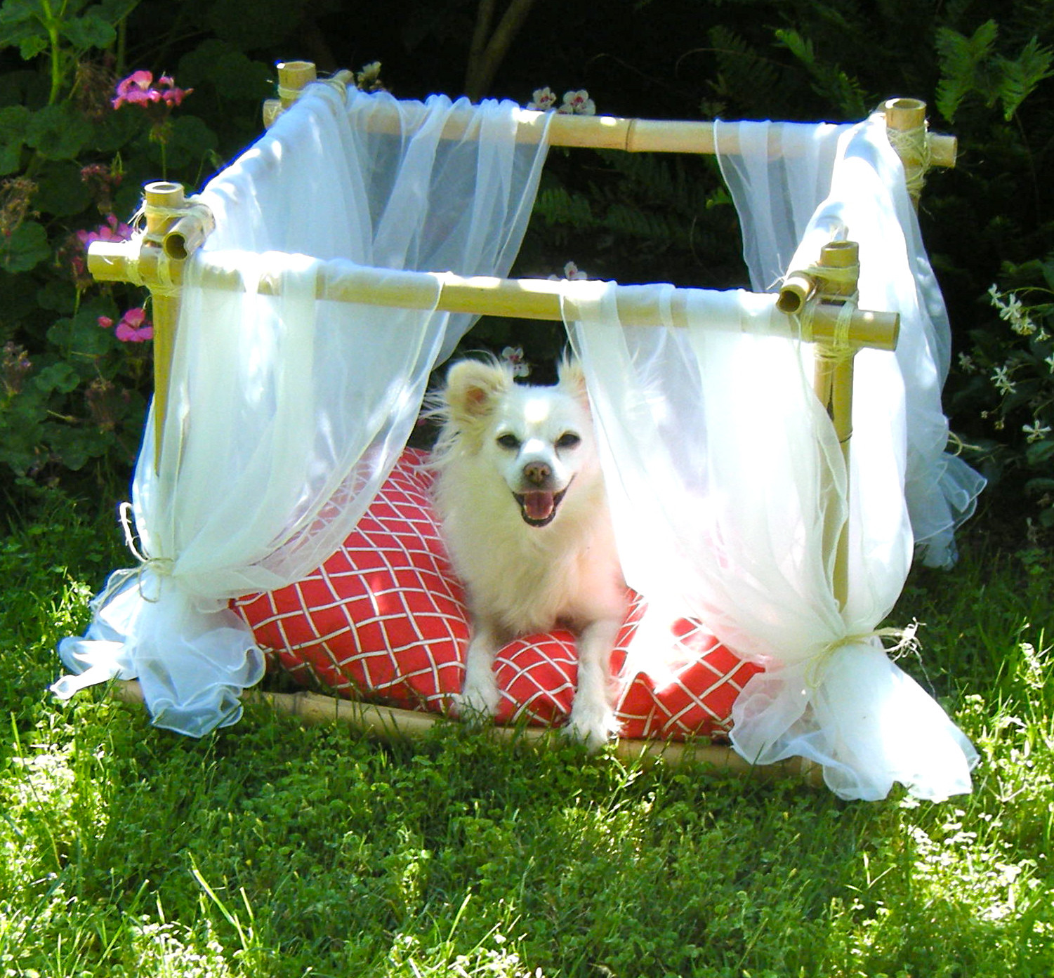 DIY For Dogs
 Sew DoggyStyle DIY Dog Bed Bamboo Frame