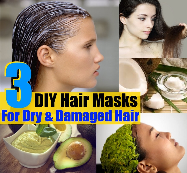 DIY For Dry Hair
 3 DIY Hair Masks For Dry And Damaged Hair