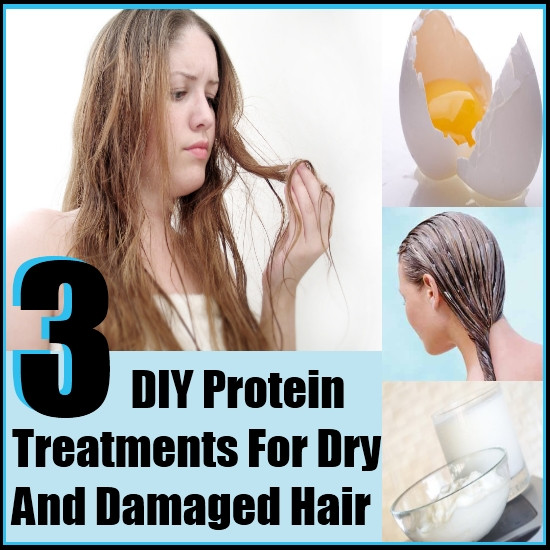 DIY For Dry Hair
 3 DIY Protein Treatments For Dry and Damaged Hair