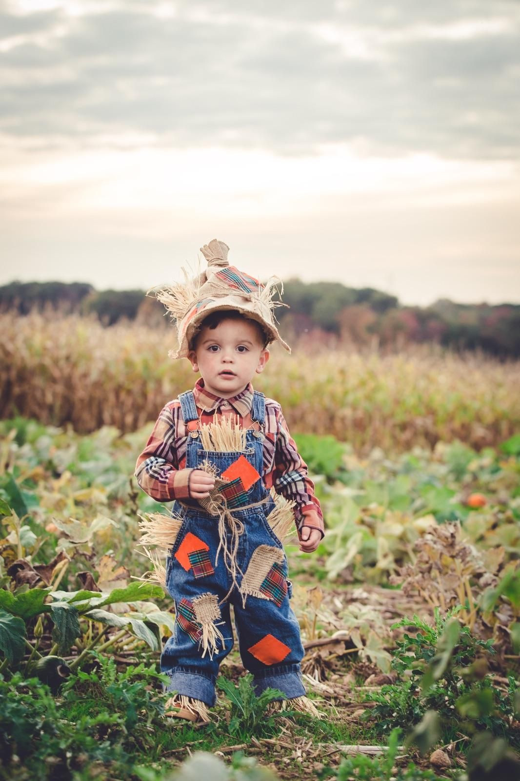 DIY Halloween Costumes For Toddler Boys
 Toddler Boy DIY Scarecrow Costume