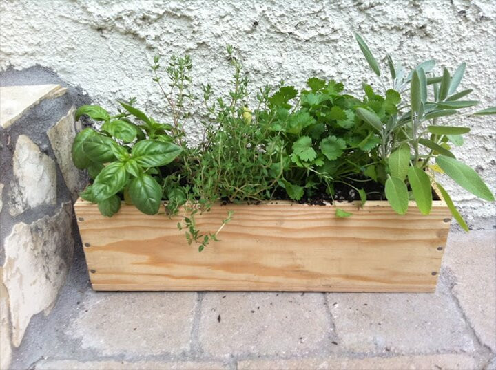 DIY Herb Garden Box
 Herb Gardens To Practice Your Green Thumb With