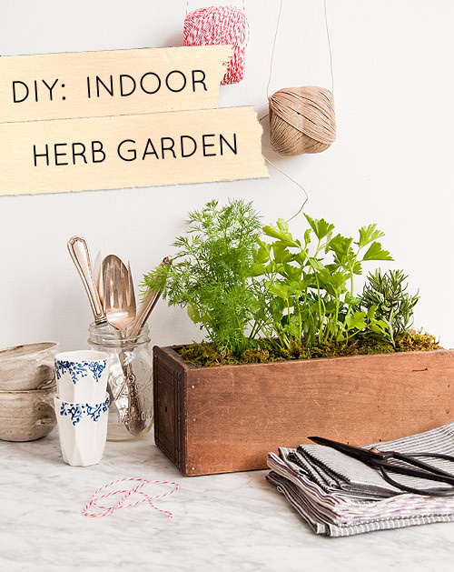DIY Herb Garden Box
 DIY Kitchen Garden Planter – Design Sponge