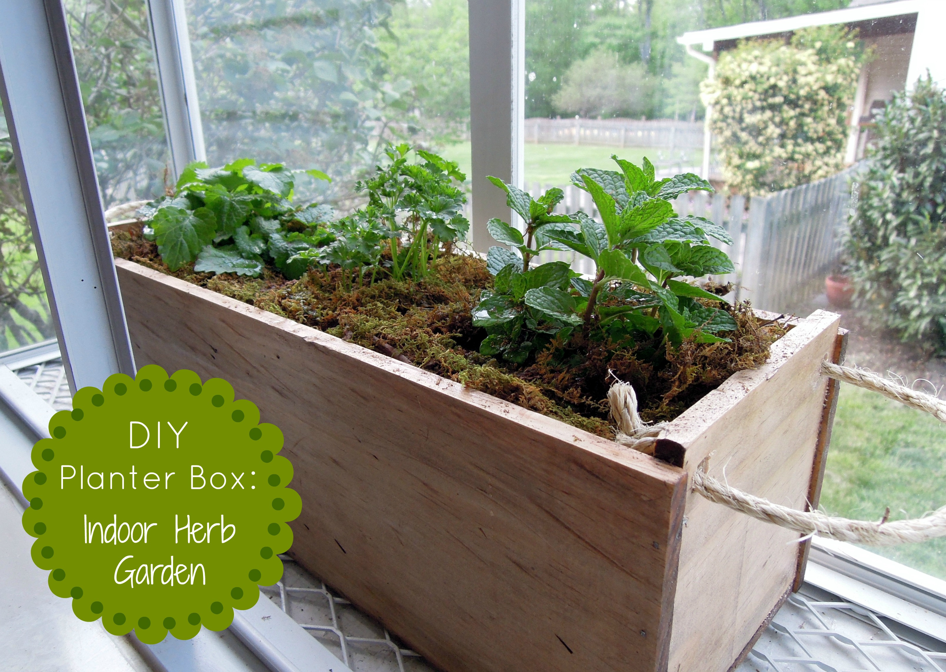 DIY Herb Garden Box
 DIY Herb Garden Planter Box