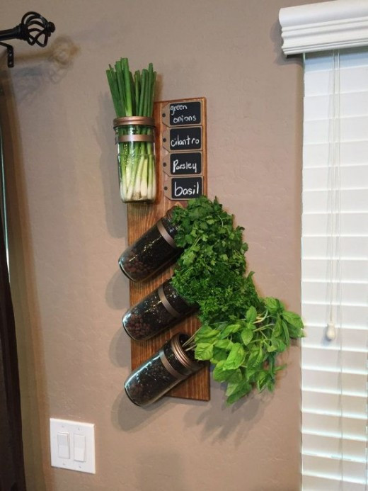 DIY Home Garden
 14 DIY Herb Garden Ideas for Vertical Indoor Gardening