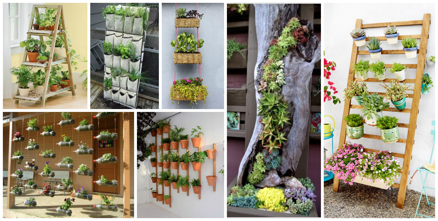 DIY Home Garden
 Here s How to Save Time and Space by Vertical Gardening at