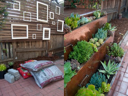 DIY Home Garden
 DIY Make a small home garden from an old dresser