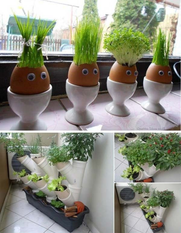 DIY Home Garden
 26 Mini Indoor Garden Ideas to Green Your Home