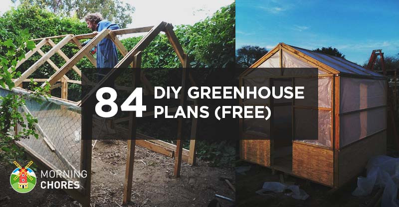 DIY Home Plans
 125 DIY Greenhouse Plans You Can Build This Weekend Free