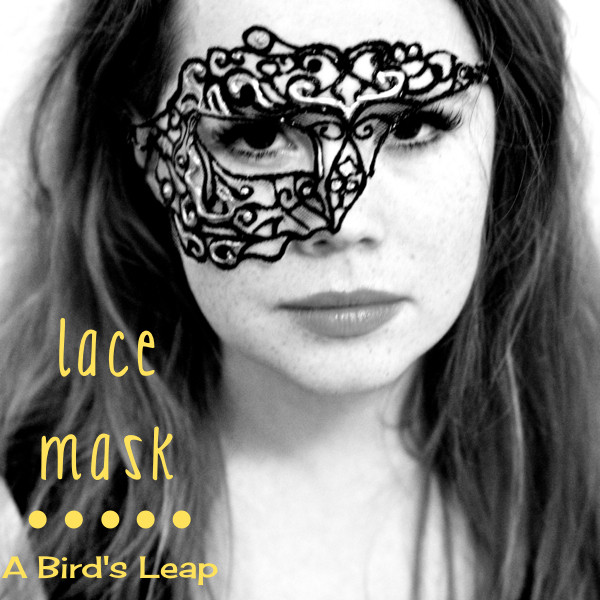 DIY Lace Masquerade Mask
 A Bird s Leap DIY Lace Mask
