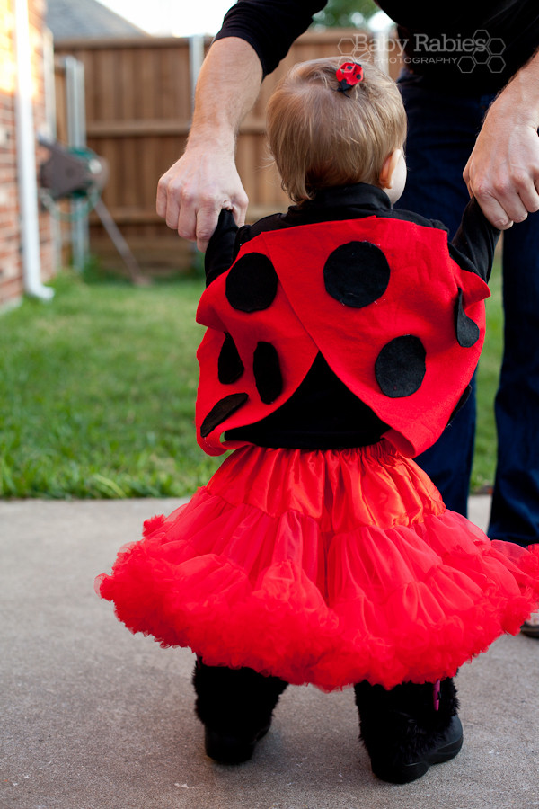 DIY Ladybug Costumes
 Easy DIY Halloween Costumes LEGO & Ladybug