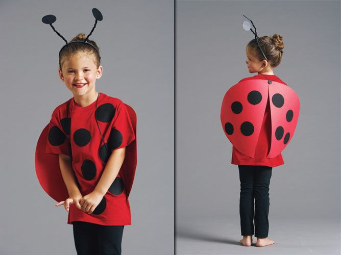 DIY Ladybug Costumes
 Family costume ideas