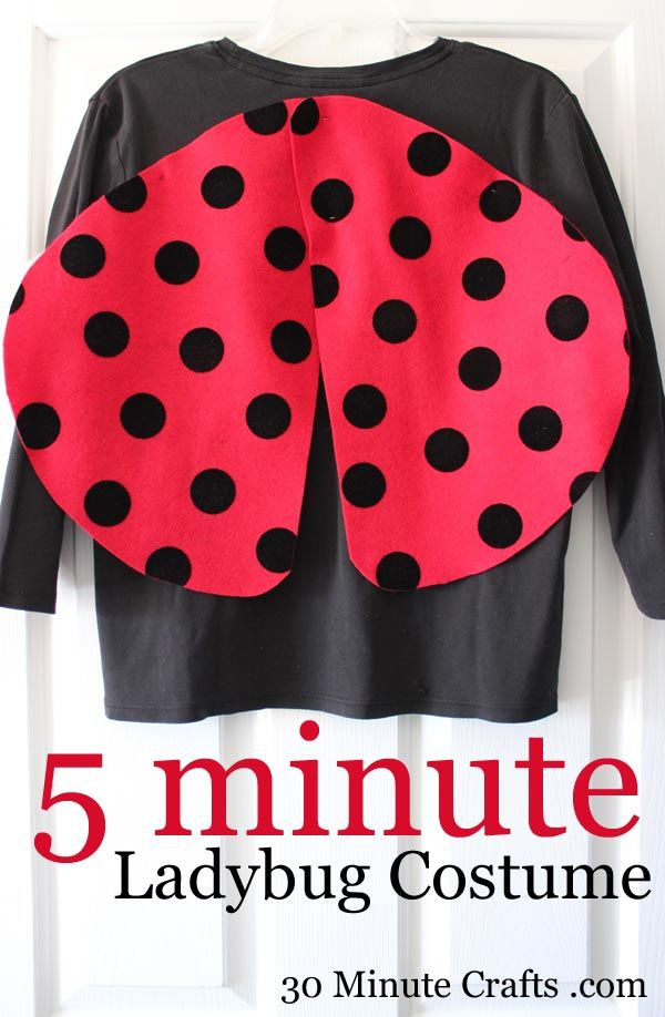 DIY Ladybug Costumes
 Simple book week costume ideas LADYBUG