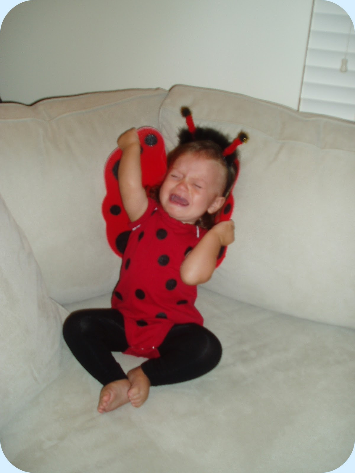 DIY Ladybug Costumes
 Spartan Living Homemade Toddler Costume Fit for a