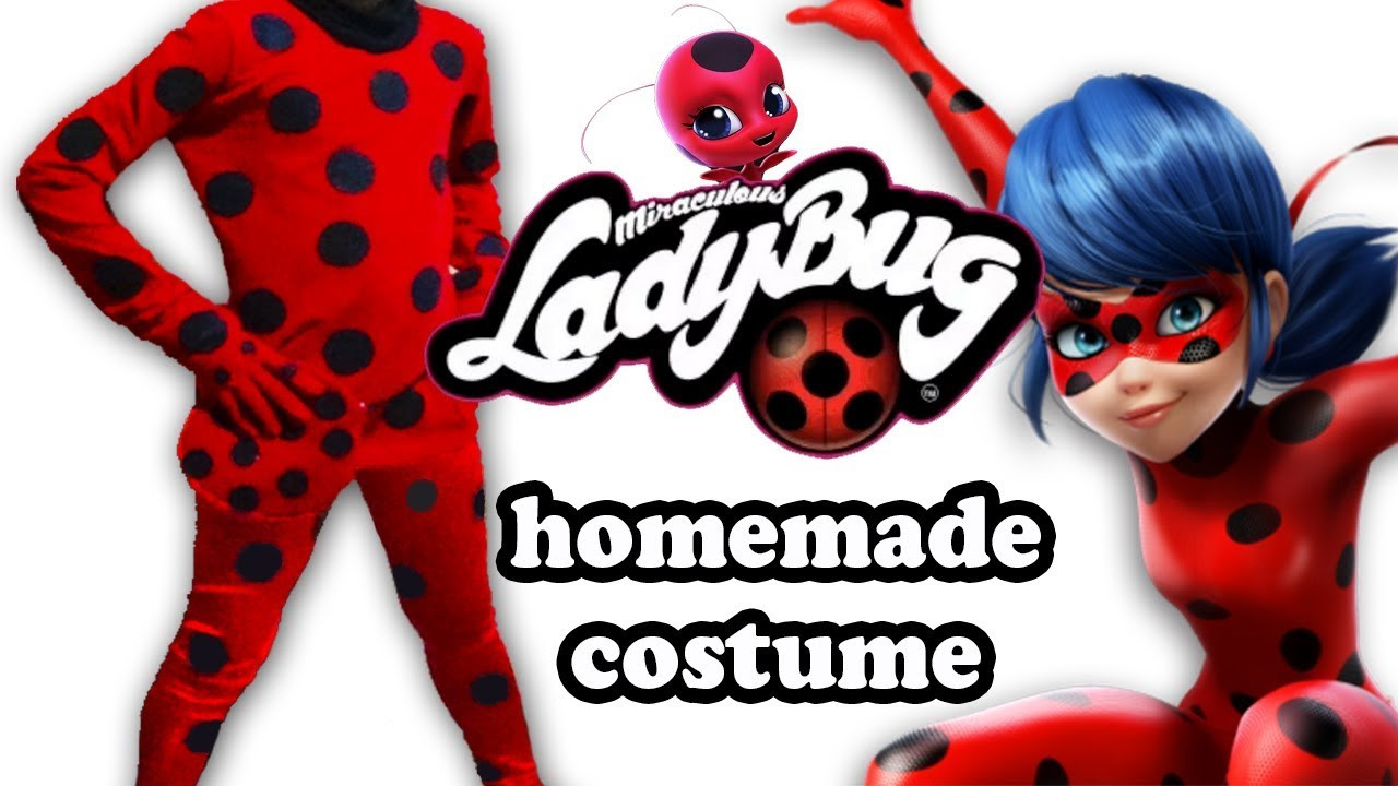DIY Ladybug Costumes
 DIY Homemade costume Ladybug Ecobrisa DIY