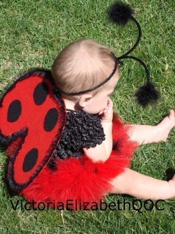 DIY Ladybug Costumes
 DIY Ladybug Costume Kit No Sew Infant SizeTutu Wire Free