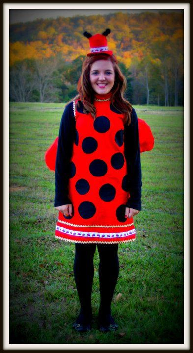 DIY Ladybug Costumes
 my homemade ladybug costume Halloween in 2019