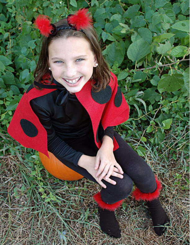 DIY Ladybug Costumes
 Easy DIY Bug Costumes Under $20 Ask Mr Little