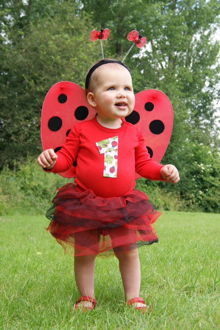 DIY Ladybug Costumes
 Homemade Little Ladybug Costume
