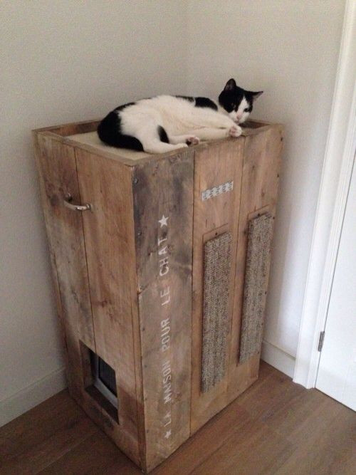 DIY Litter Box Furniture
 8 Creative Ways to Hide Your Cat s Litter Box