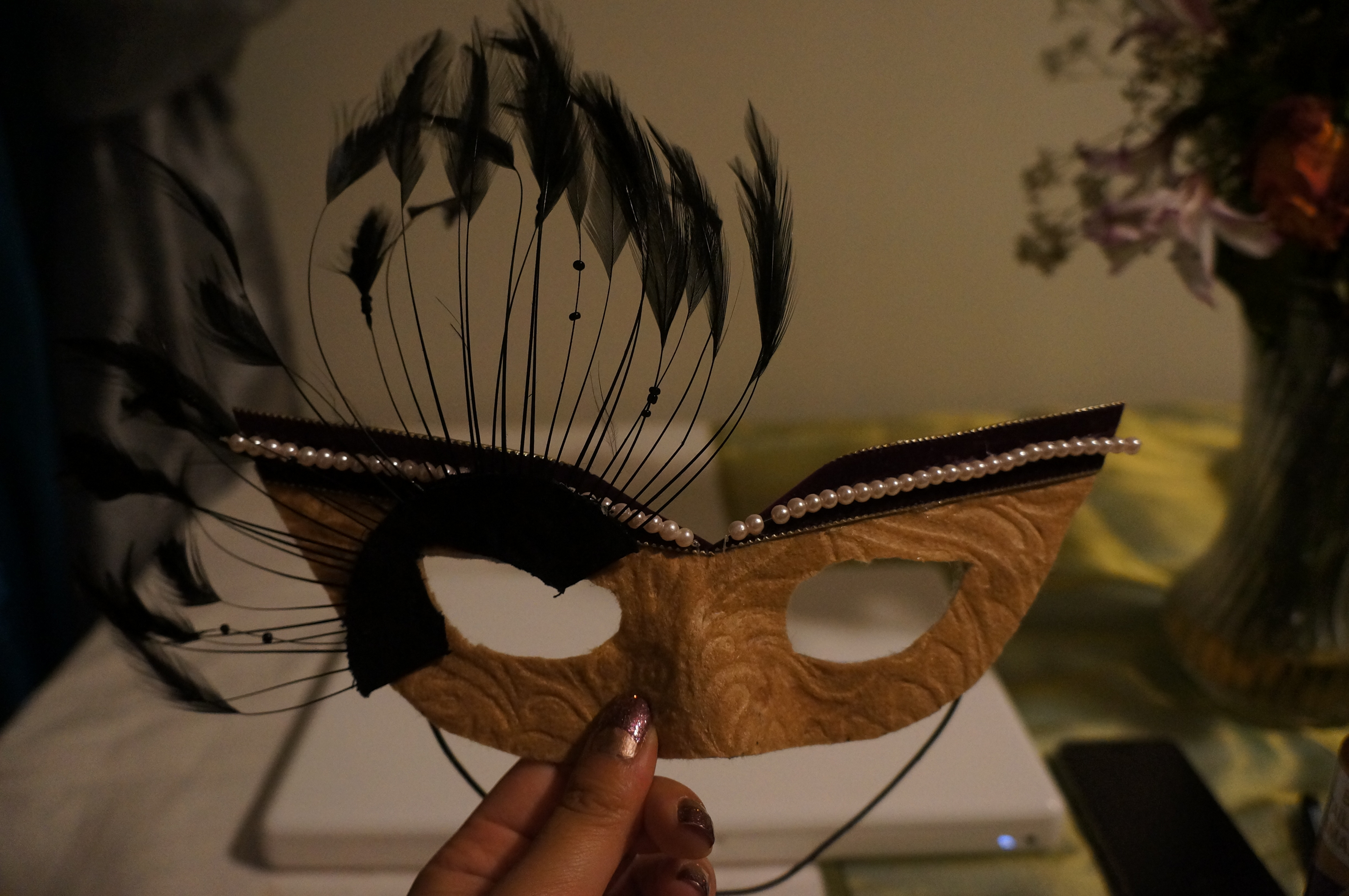 DIY Masquerade Mask
 DIY Masquerade Mask