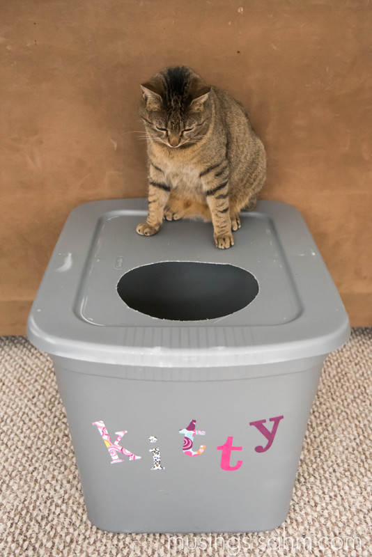 DIY Mess Free Cat Litter Box
 The Original DIY Mess Free Cat Litter Box Living Well Mom