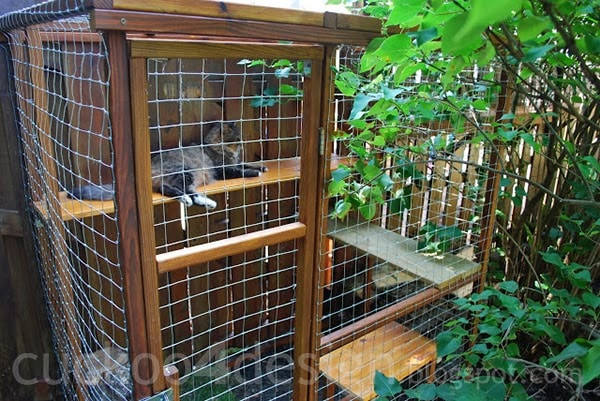 DIY Outdoor Cat House
 Easy DIY Cat Enclosure Cuckoo4Design