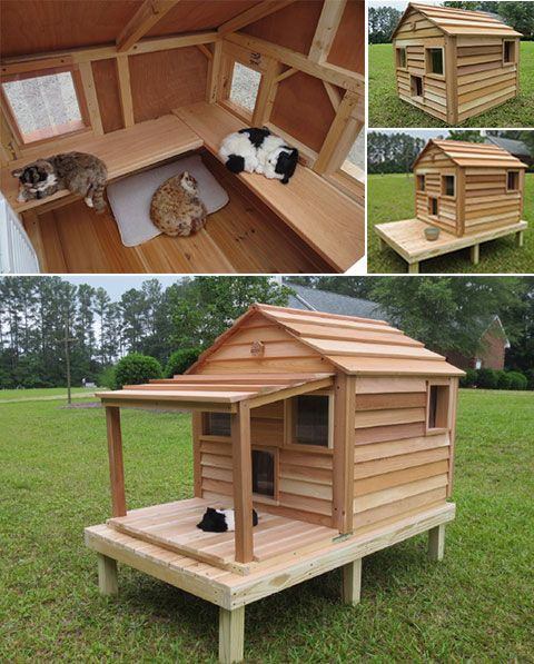 DIY Outdoor Cat Houses
 Best 25 Outdoor cat houses ideas on Pinterest