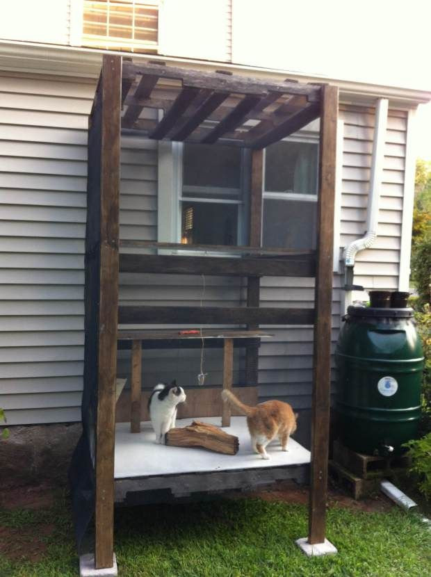 DIY Outdoor Cat Houses
 Best 25 Outdoor cat tree ideas on Pinterest