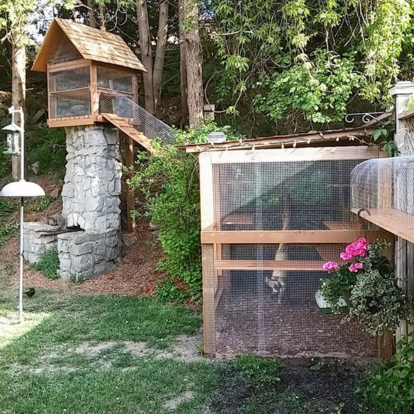 DIY Outdoor Cat Houses
 Easy DIY Cat Enclosure