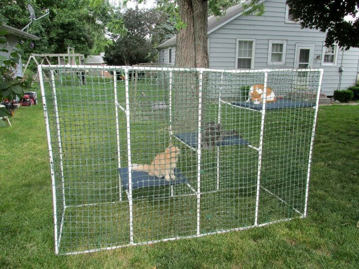 DIY Outdoor Dog Kennel
 this would be nice for my kitties PVC temporary dog kennel