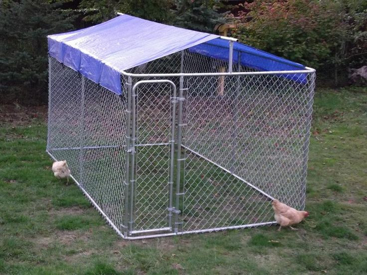 DIY Outdoor Dog Kennel
 25 best ideas about Chain link dog kennel on Pinterest