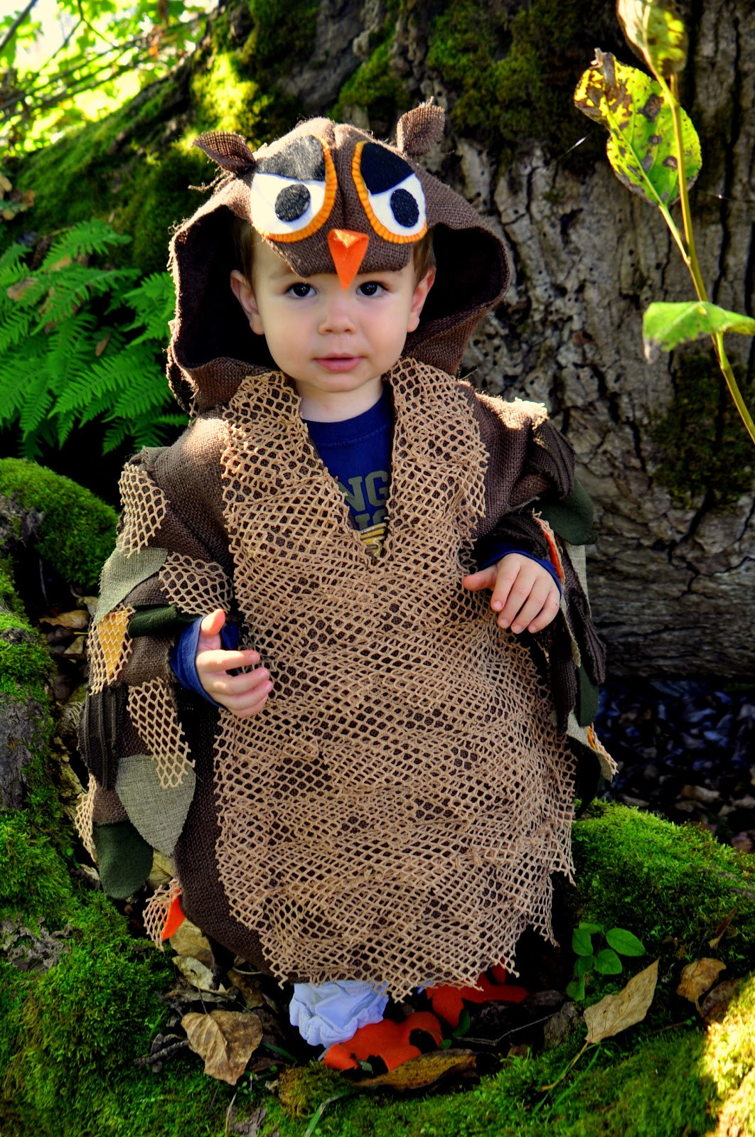 DIY Owl Costumes
 SweeterThanSweets Cutest Handmade DIY Kids Halloween