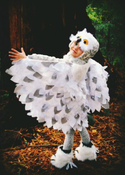 DIY Owl Costumes
 25 DIY No Sew Costumes for Kids & Adults Diary of a
