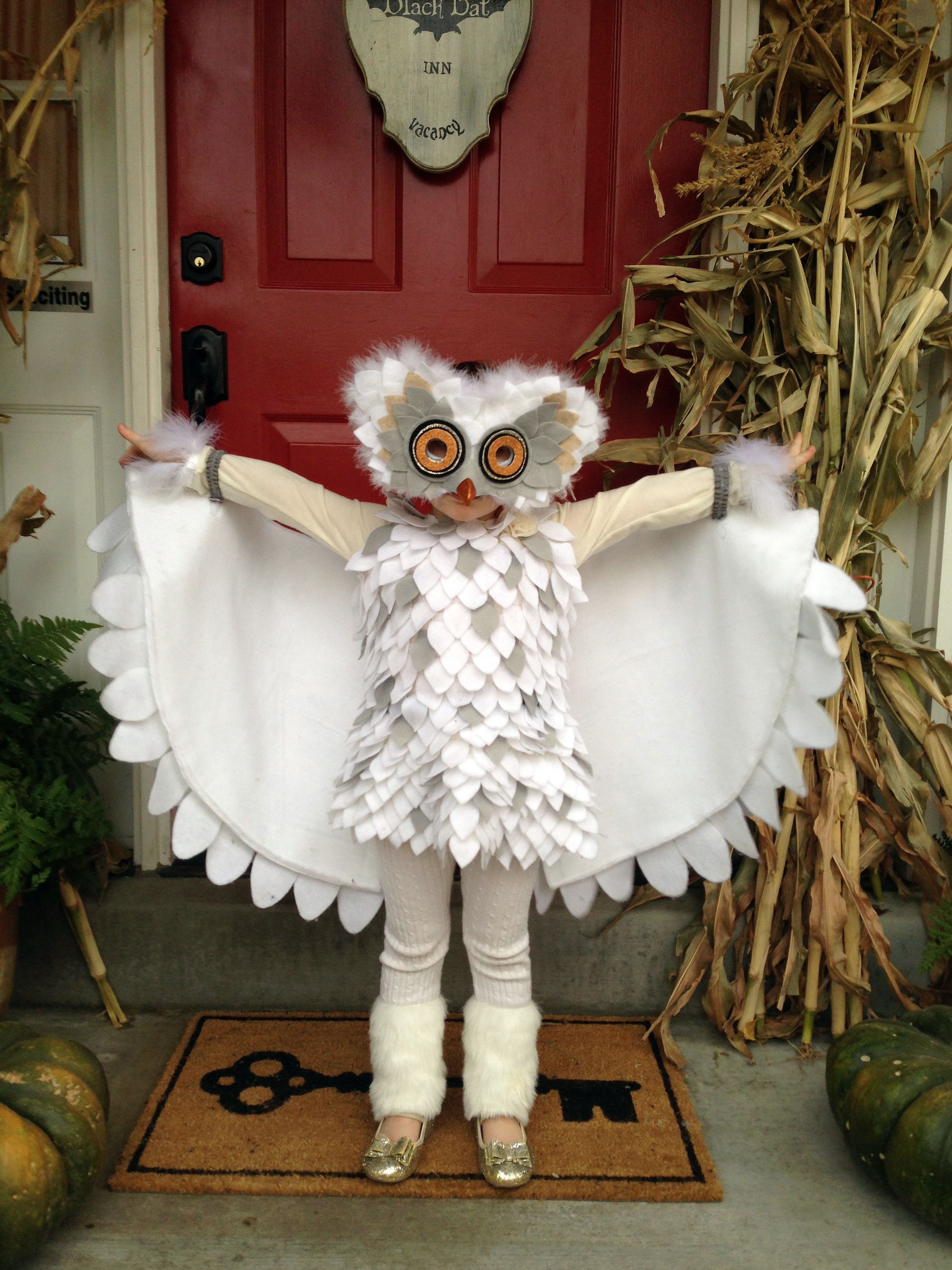 DIY Owl Costumes
 Best 25 Owl costume diy ideas on Pinterest