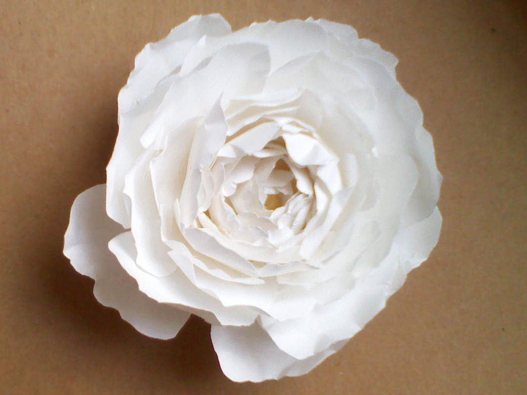 DIY Paper Flowers Wedding
 OMG My DIY Wedding Easy Paper Flower Tutorial