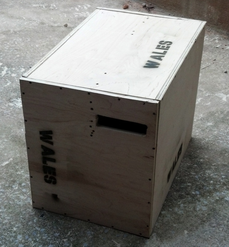 DIY Plyo Box
 How to Build a nother Plyometric Box