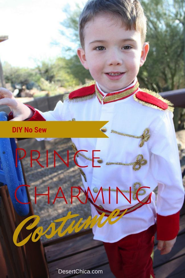 DIY Prince Charming Costume
 359 best images about Disfraces on Pinterest