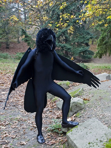 DIY Raven Costume
 Raven Costumes for Men Women Kids