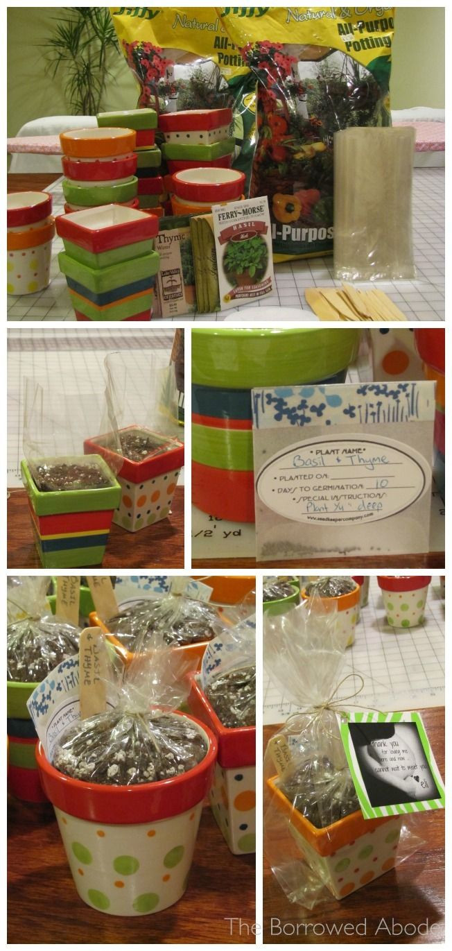 DIY Safari Baby Shower Decorations
 DIY Mini Herb Kit Party Favors