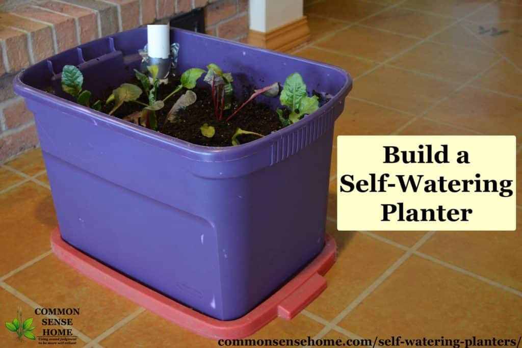DIY Self Watering Planter Box
 Self Watering Planters DIY Demo How They Work Tips for Use