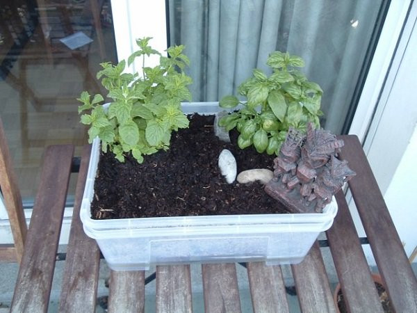 DIY Self Watering Planter Box
 14 Best DIY Self Watering Container Garden Ideas