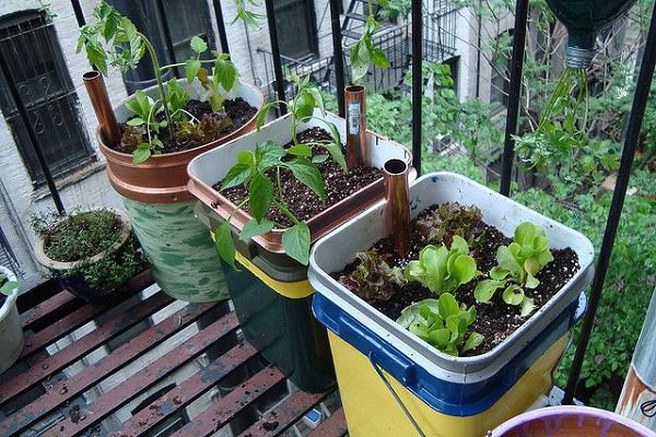 DIY Self Watering Planter Box
 14 Best DIY Self Watering Container Garden Ideas