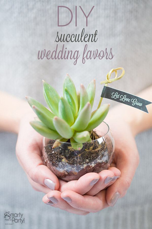 DIY Succulent Wedding Favors
 Succulent Wedding Favors You Can Make Fab You Bliss