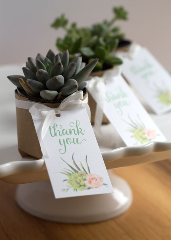 DIY Succulent Wedding Favors
 Best 25 Succulent wedding favors ideas on Pinterest