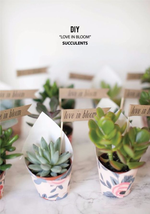 DIY Succulent Wedding Favors
 31 Brilliantly Creative Wedding Favors You Can Make For