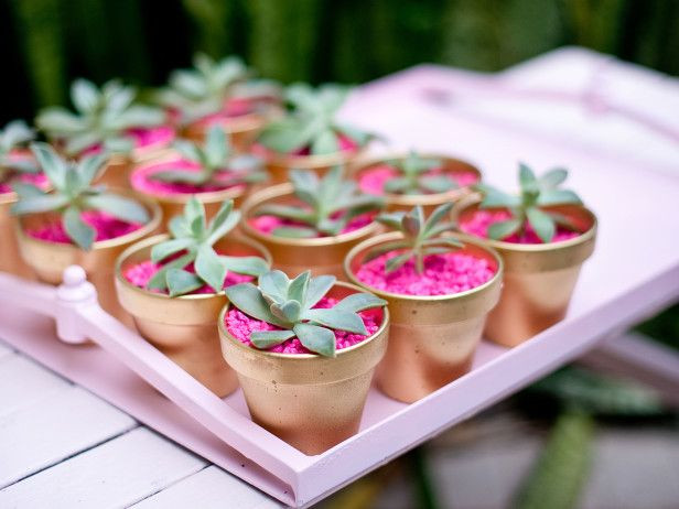 DIY Succulent Wedding Favors
 Best 25 Succulent party favors ideas on Pinterest